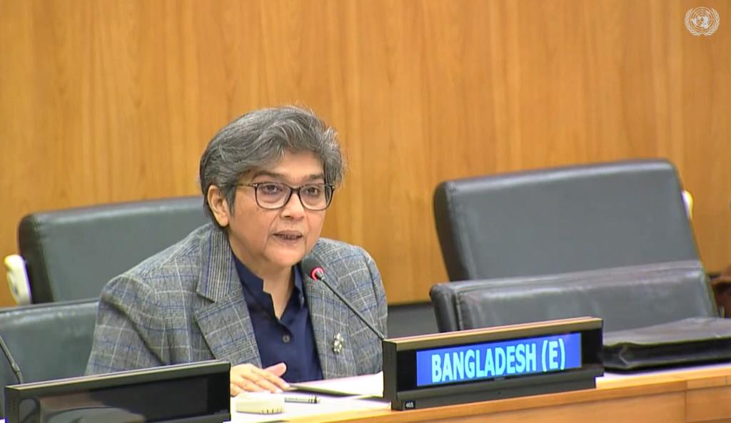 ইউএন উইমেন নির্বাহী বোর্ডের সভাপতি নির্বাচিত হলেন রাবাব ফাতিমা