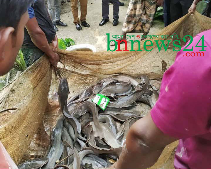 মণিরামপুরে ভ্রাম্যমাণ আদালত মৎস্যচাষীকে পাঁচ হাজার টাকা জরিমানা