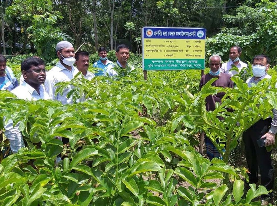 মণিরামপুরে ফসল উৎপাদন প্রদর্শনীর উপর কৃষক মাঠ দিবস অনুষ্ঠিত