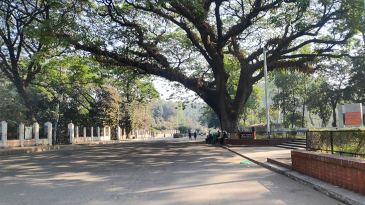 ‘বিশ্ববিদ্যালয় ঘিরে শেখ হাসিনা সরকার হটানোর প্রস্তুতি’